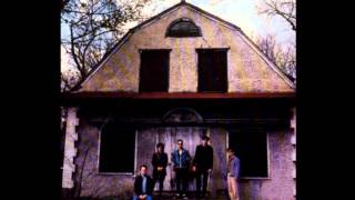 The Feelies -- Too Far Gone