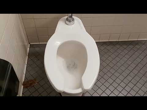 Safeway Mens Restroom Half Shoot