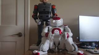 Knuckles Autism Robot Assistant