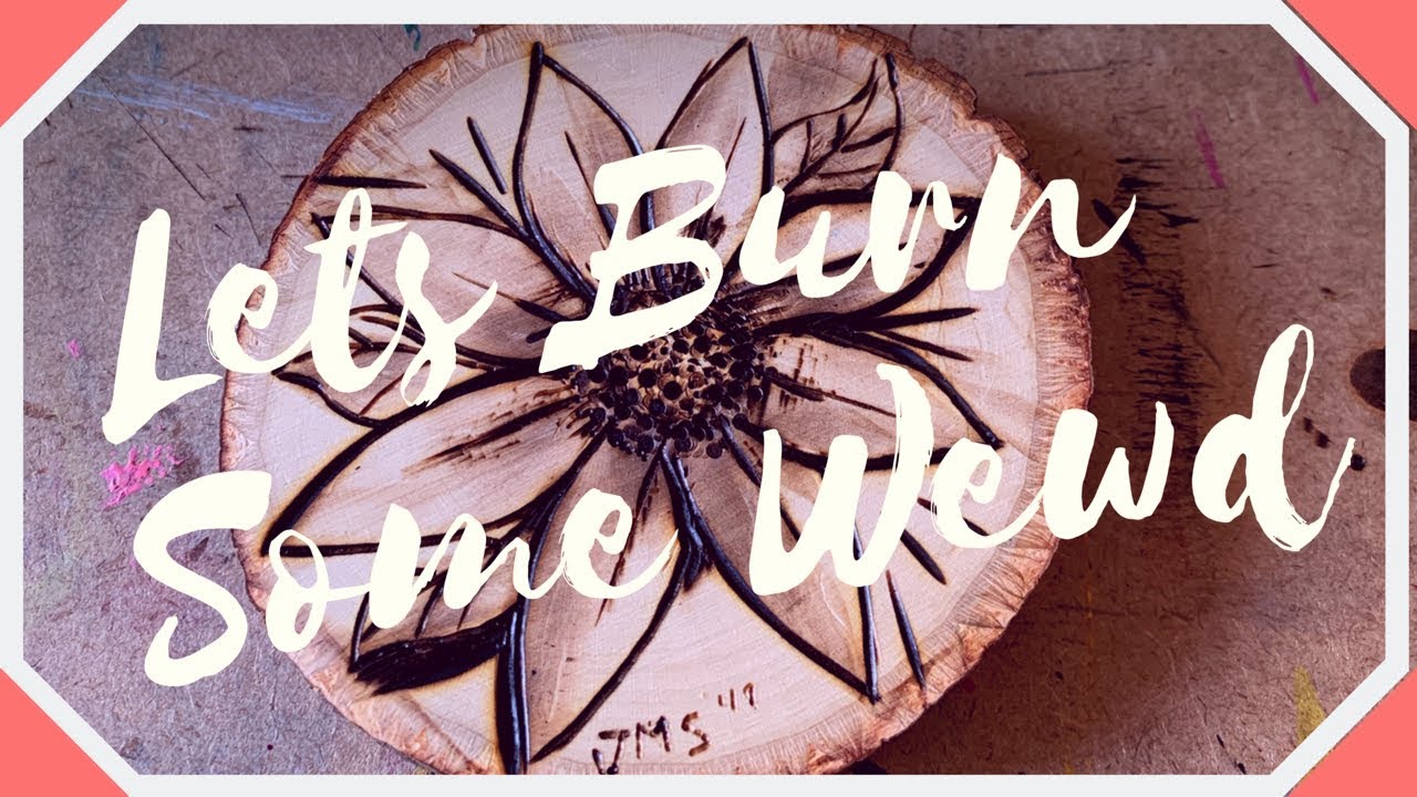 First Time Wood Burning