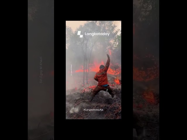 Aksi Unik Petugas Karhutla di Tengah Kobaran Api, bak Avatar!