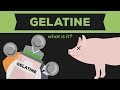 What is Gelatine? (Gelatin / Jello)