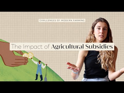 The Impact Of Subsidies On Food Production | FoodUnfolded Explains
