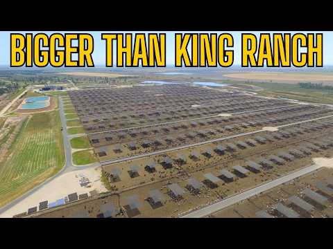 Discover Grassdale Feedlot, the LARGEST cattle feedlot in Australia and the world.