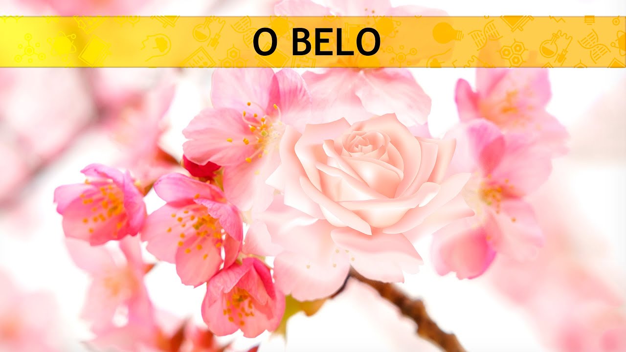 Platão | O Belo