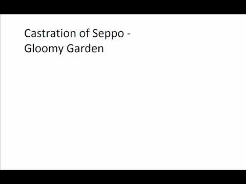 Castration of Seppo - Gloomy Garden