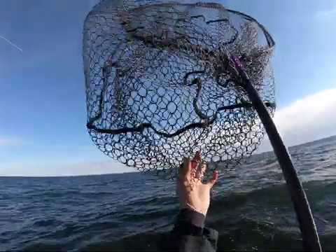 Lohi ennätykset paukkuu!!