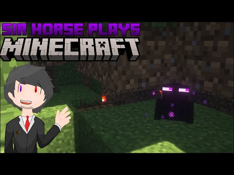 EPIC MINECRAFT ADVENTURES: SIR HORSE & VIEWERS BUILDING TOGETHER