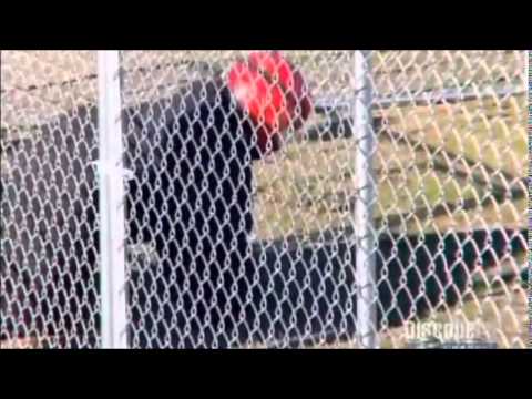 Scientific Method - Mythbuster Example