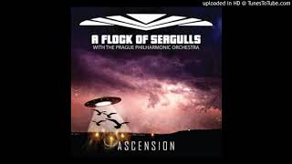 A Flock of Seagulls - Ascension