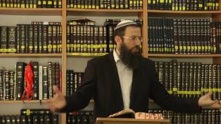 נותן טעם לפגם