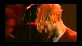 Silverchair x Madseason (Plagiarism)