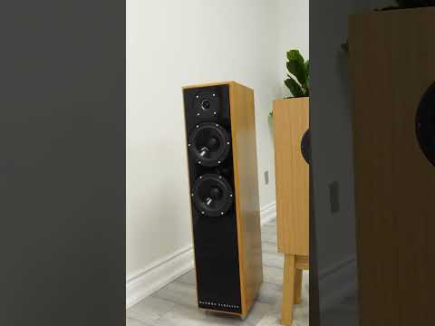 Devore Fidelity video