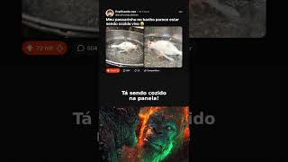 O passarinho esta a brincar ☺️ #comedyeffect