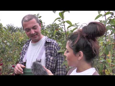 Gärtner Sönke - Folge 38: Zieräpfel