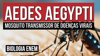 AEDES AEGYPTI: mosquito transmissor de doenças virais| Biologia para o Enem | Cláudia Souza Aguiar