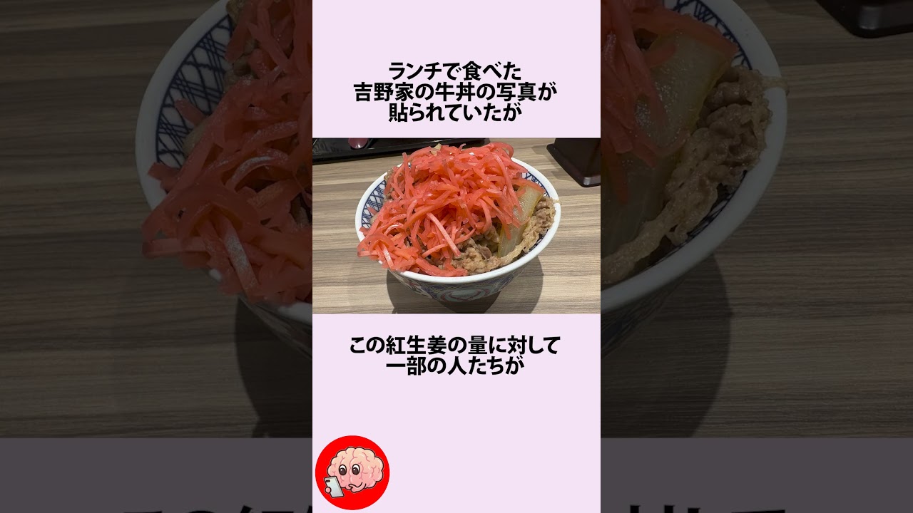 牛丼の紅ショウガはどのくらいまでならOKなのかに関するうんちく