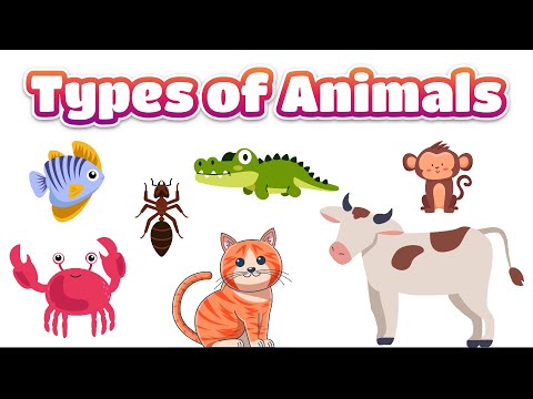 Types of Animals for Kids | Wild, Domestic, Pet, Aquatic, Birds, Insects & Reptiles Explained