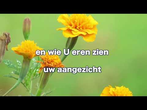 Opwekking 634 U bent heilig en rechtvaardig VV