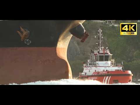 Ship Spotting at Bosphorus | Giant Ships, sharp turns and more! August 2024