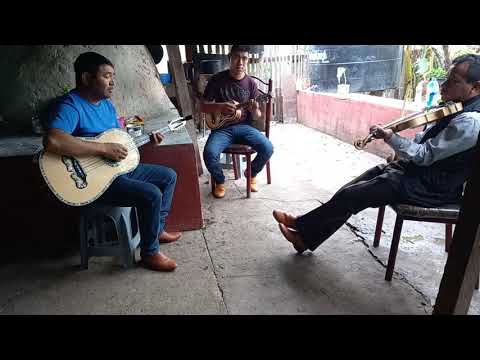 Mi padre campeon, trio cantar serrano