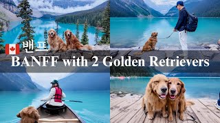 My DOGS travel to BANFF NATIONAL PARK 🇨🇦 | Summer Lake Louise, Lake Moraine, and more!