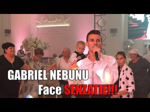 Gabriel Nebunu Live la nunta face senzatie si haos la nunta #trending #viral #nunta #muzica