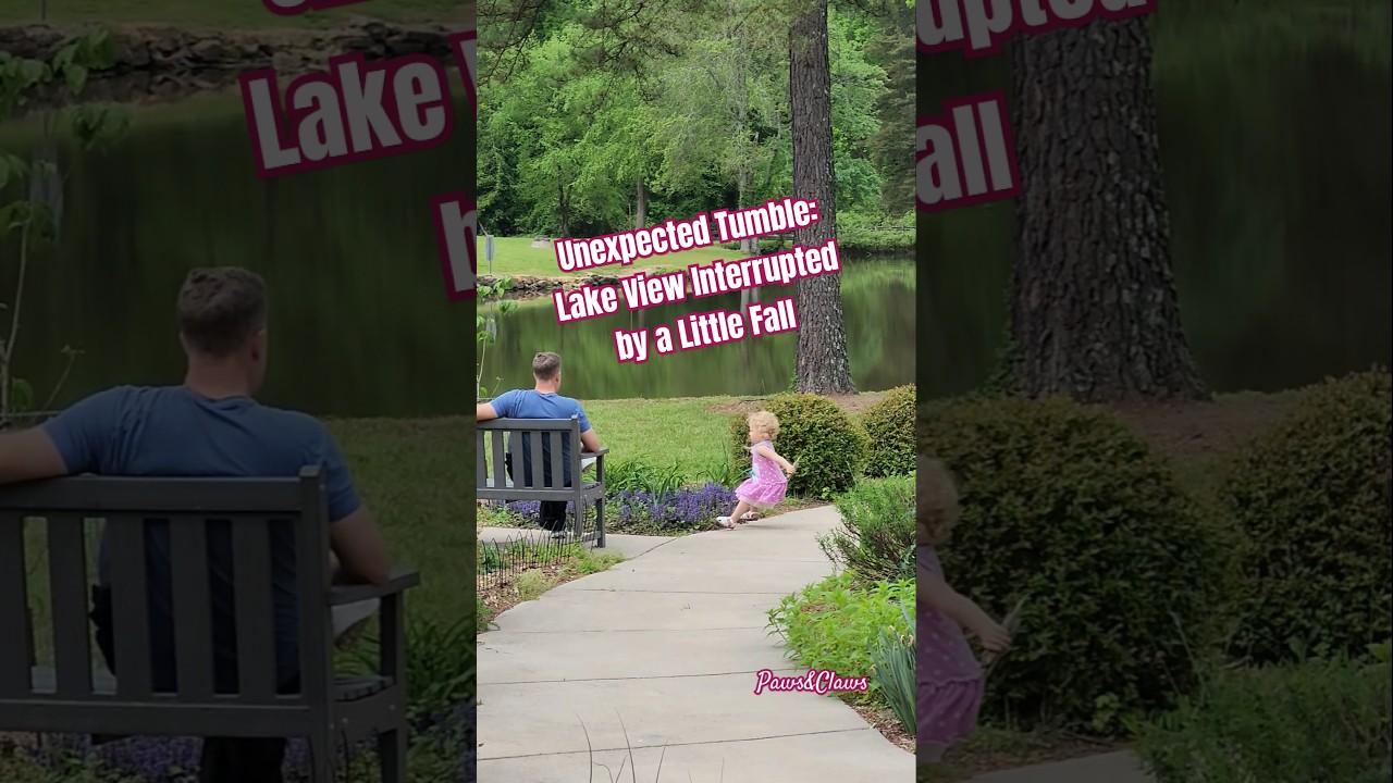 Unexpected Tumble: Lake View Interrupted by a Little Fall