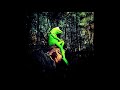 Kermit S Wonderful World