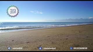 حكم تشقير الحواجب بالليزر || فتاوى عامة || د. سامي الواكد image