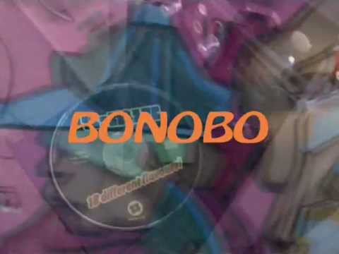 Bonobo - Everything you do (U-mix 1998)