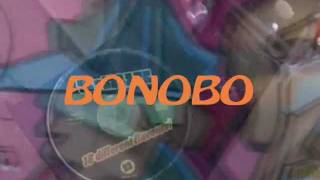 Bonobo - Everything you do (U-mix 1998)
