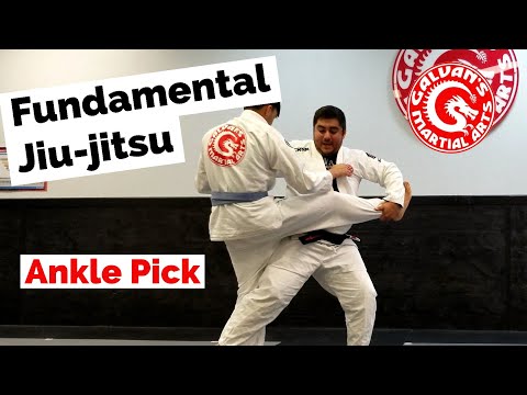 Fundamental Jiu-jitsu - Ankle Pick Takedown