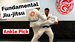 Fundamental Jiu-jitsu - Ankle Pick Takedown