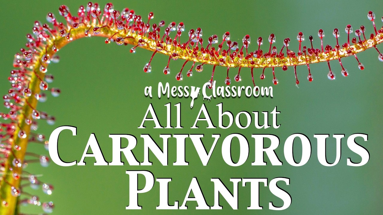 All About Carnivorous Plants | The Amazing World of Carnivorous Plant Facts That Will Blow Your Mind