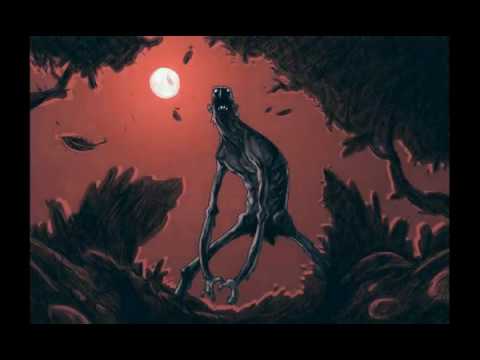 A fanyűvő, egy szemtanú története, (2. rész)