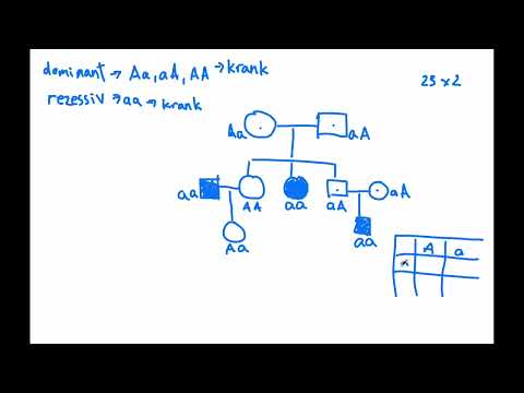 Genetik - Stammbaumanalyse