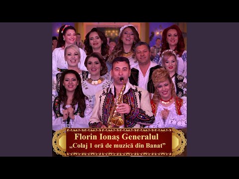 Colaj 1 ora de muzica din Banat (feat. Laura Olteanu, Ancuta Flesariu, Anca Pantiru, Maria...