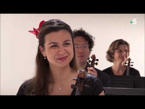 Au spectacle chez soi -  Pierre et le loup - France 5