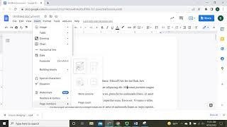 Insert Page Numbers in Google Docs (MLA)
