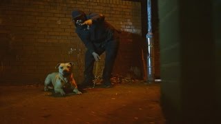 Rugz - Take It From Here - (Music Video)