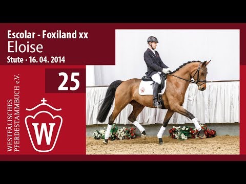 25 Eloise Stute v. Escolar - Foxiland xx