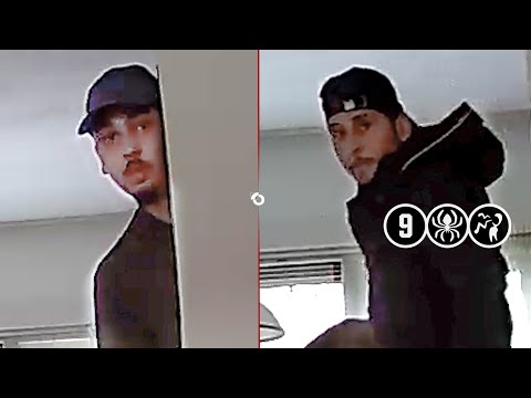 Camera in woonkamer legt inbrekers vast | Leiden