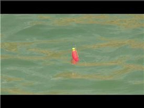 Fishing Lures & Baits : How to Use a Fishing Bobber