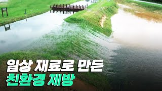 [핫클립] 친환경 제방으로 홍수를 예방하다 / YTN 사이언스