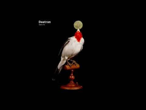 Fabric 76 - Deetron (2014) Full Mix Album