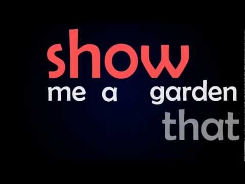 Beatrice Miller - Chasing Cars