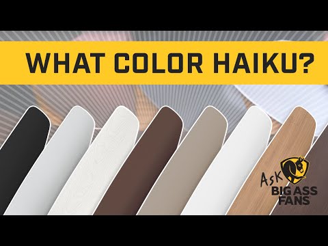 Haiku Home Ceiling Fan