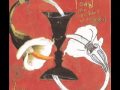 toad the wet sprocket - nanci