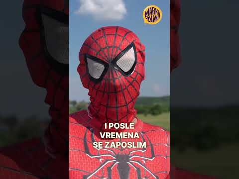 Spajdermen harmonikaš